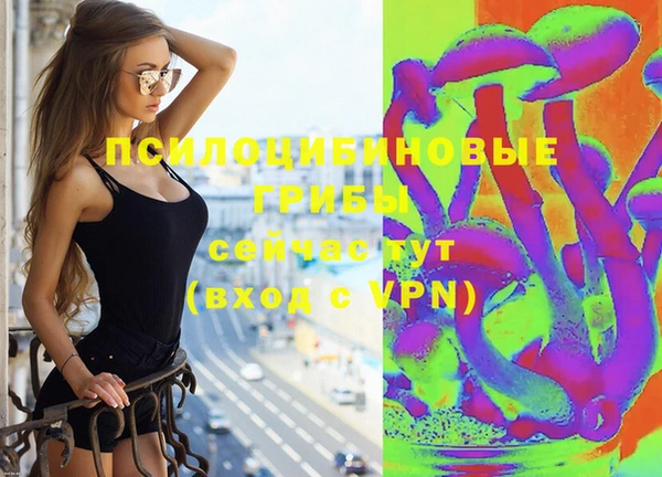 СК Абинск