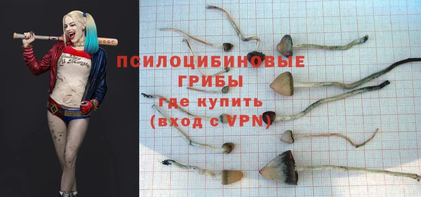 СК Абинск