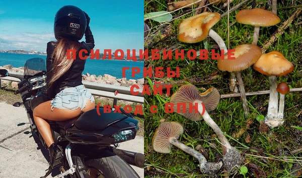 СК Абинск