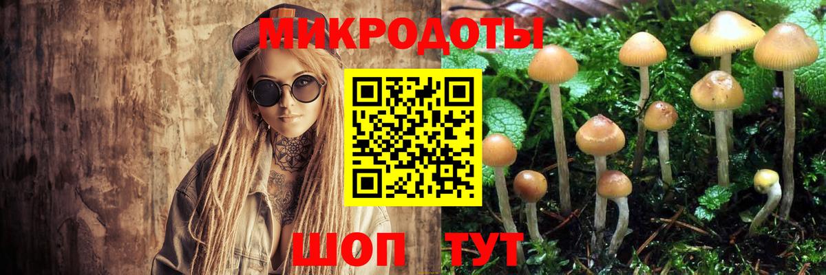 Псилоцибиновые грибы Psilocybine cubensis  Псилоцибиновые грибы прущие грибы  Сызрань  Вход с VPN 